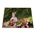 Puzzle 1000 piezas 15058 - Imagen 1
